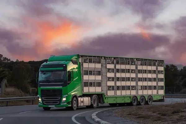Tiertransport Spezial